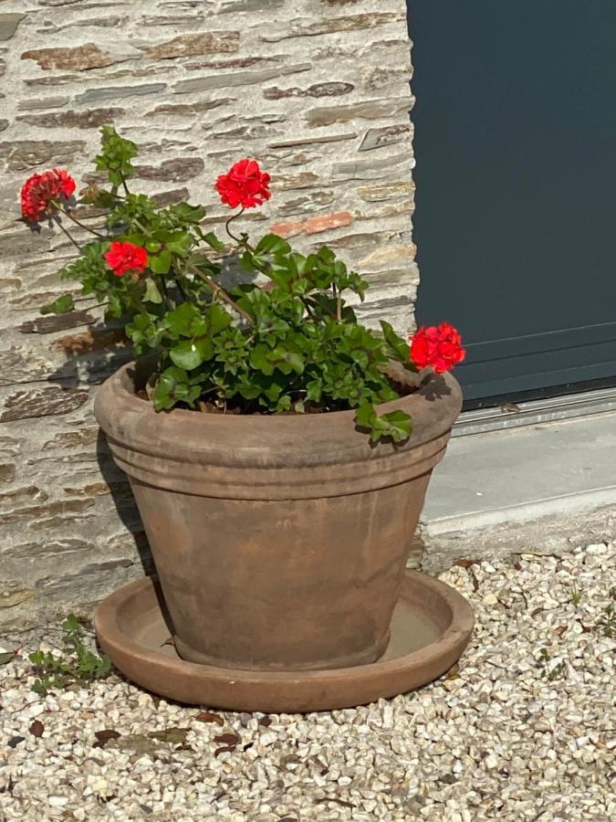 Celine Et Olivier Bed & Breakfast Pornic Exterior photo